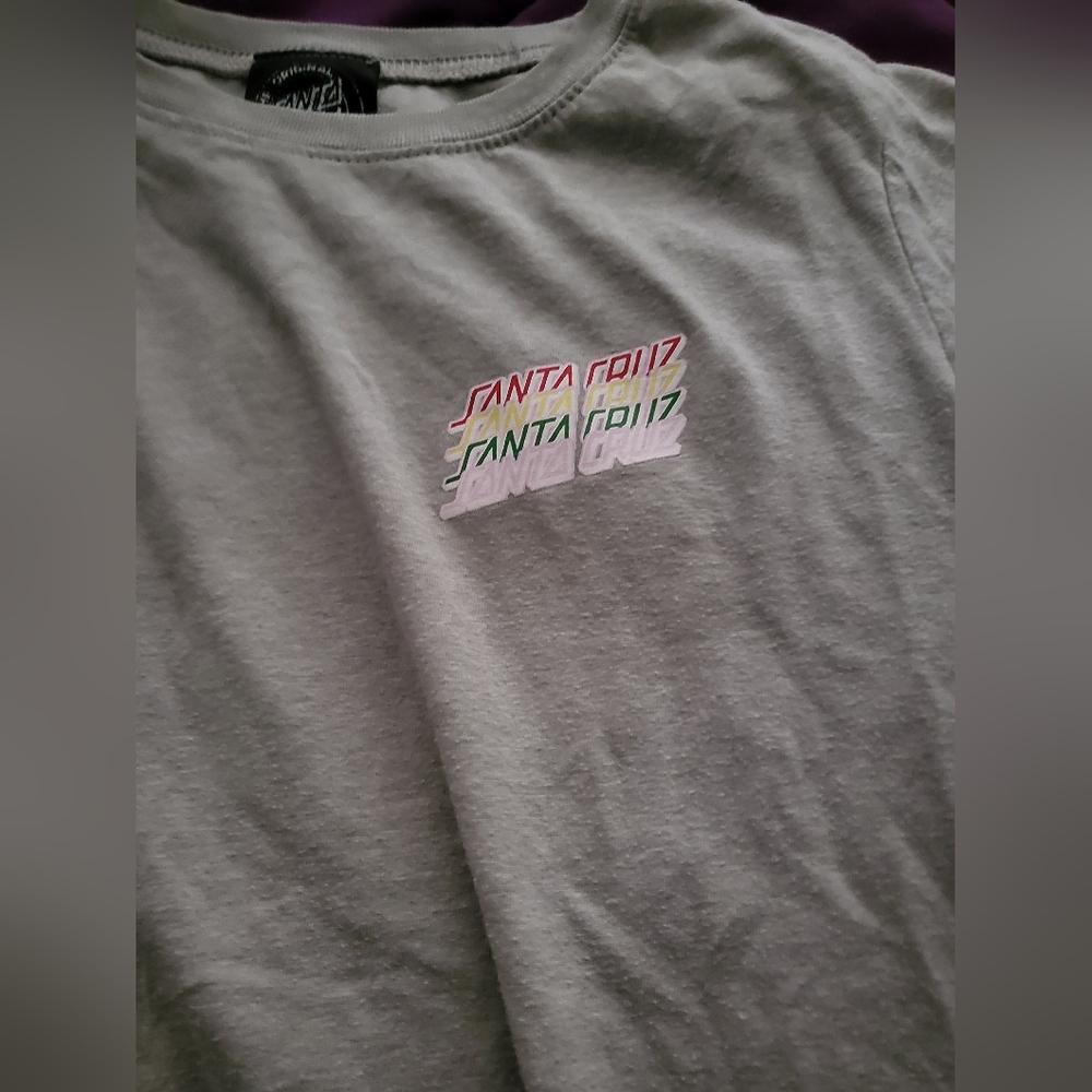 Santa Cruz Gray T-Shirt
